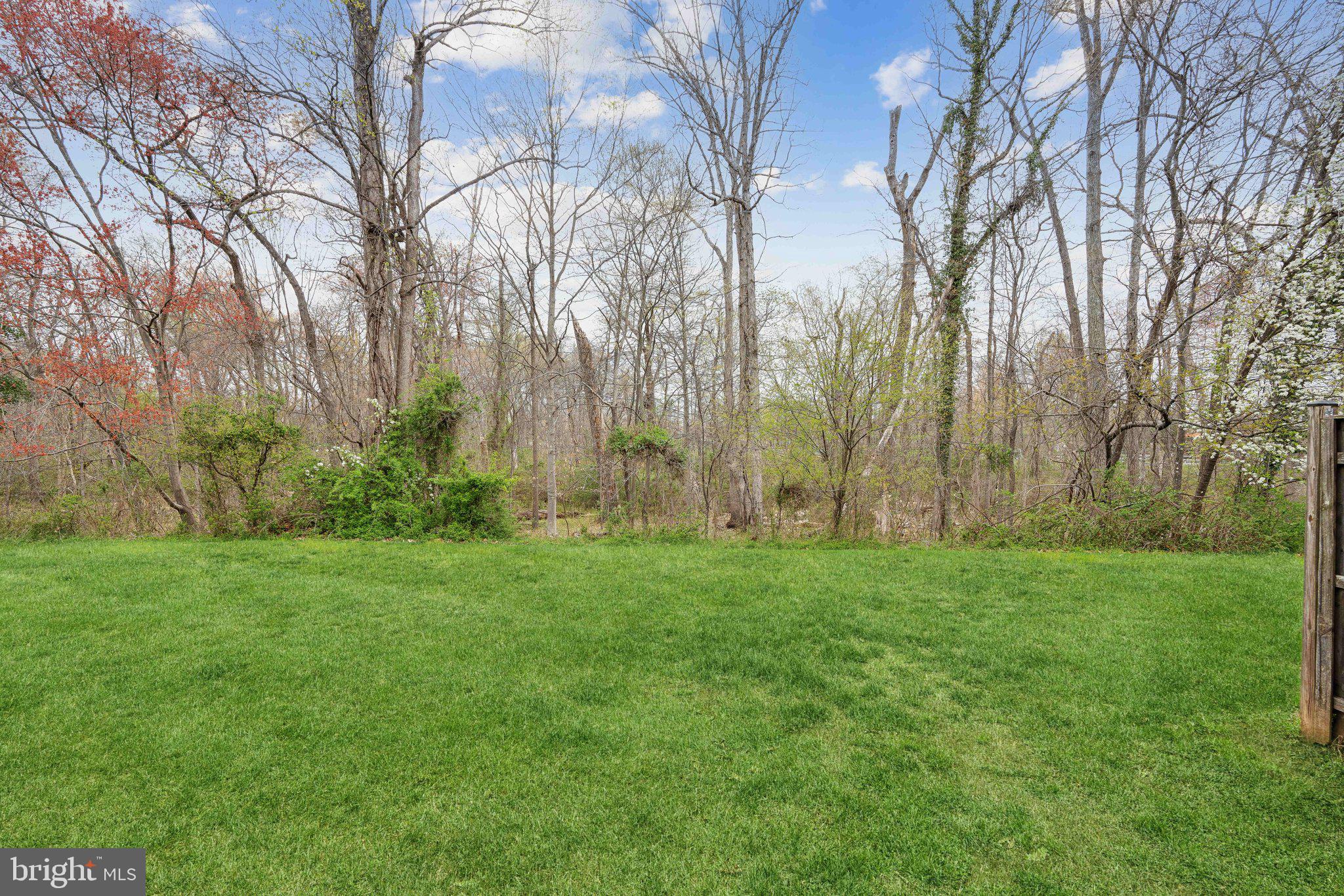 316 Felsted Ct