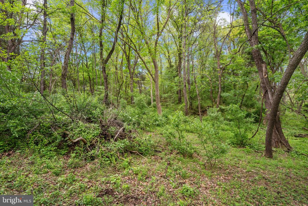 1775 BIXLERS FERRY ROAD
