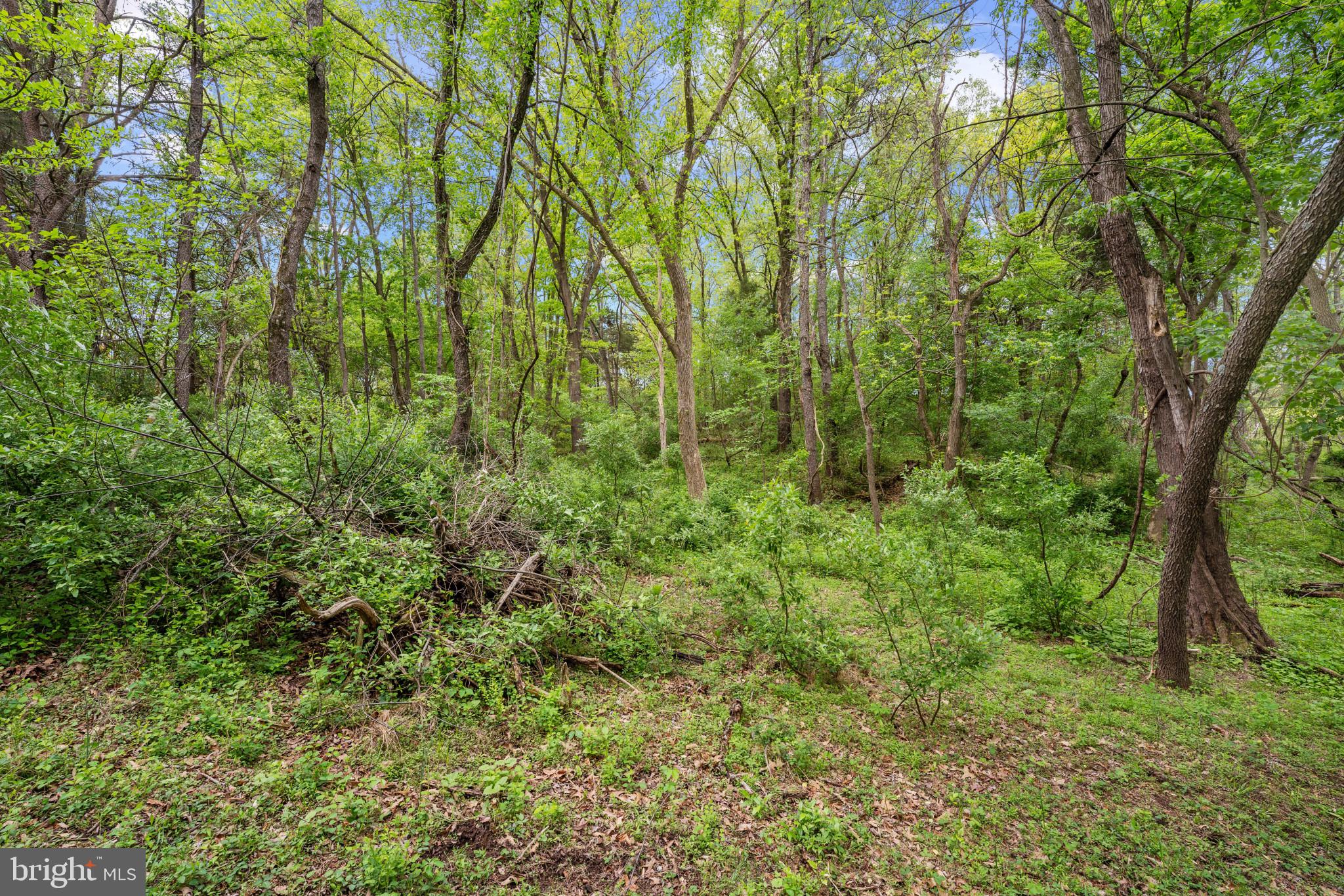 1775 BIXLERS FERRY ROAD