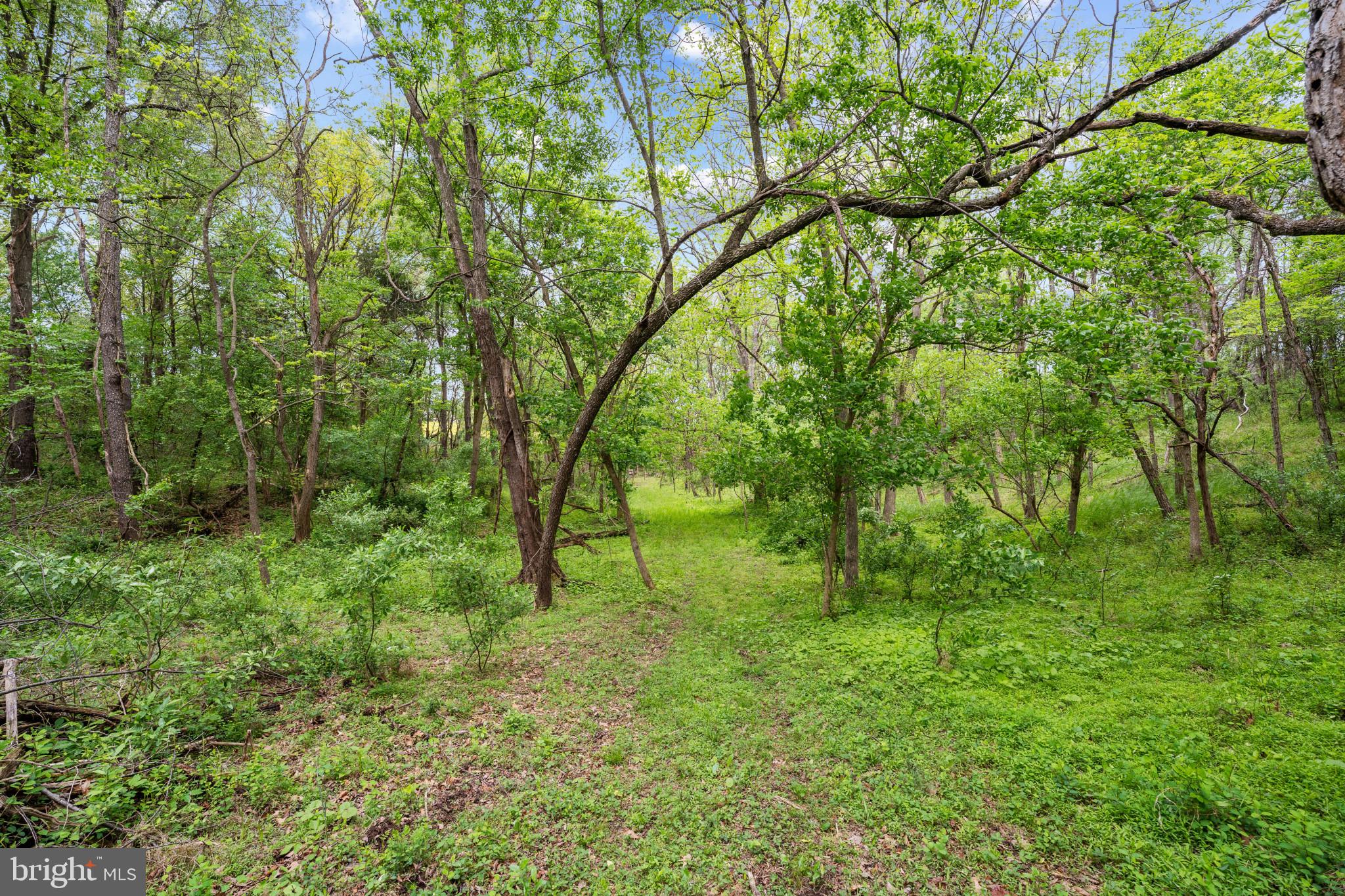 1775 BIXLERS FERRY ROAD