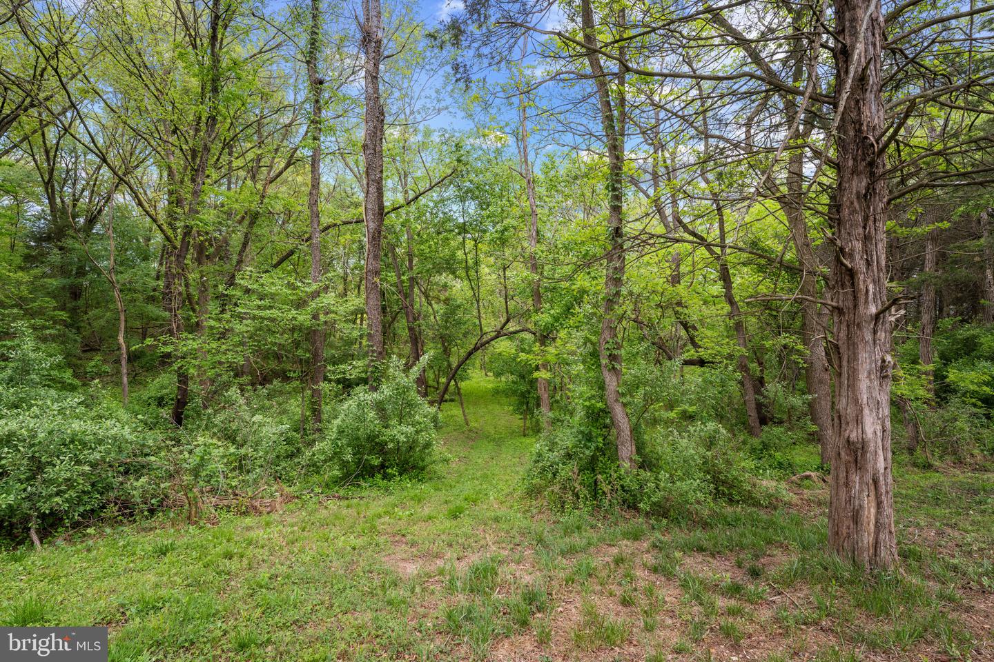 1775 BIXLERS FERRY ROAD
