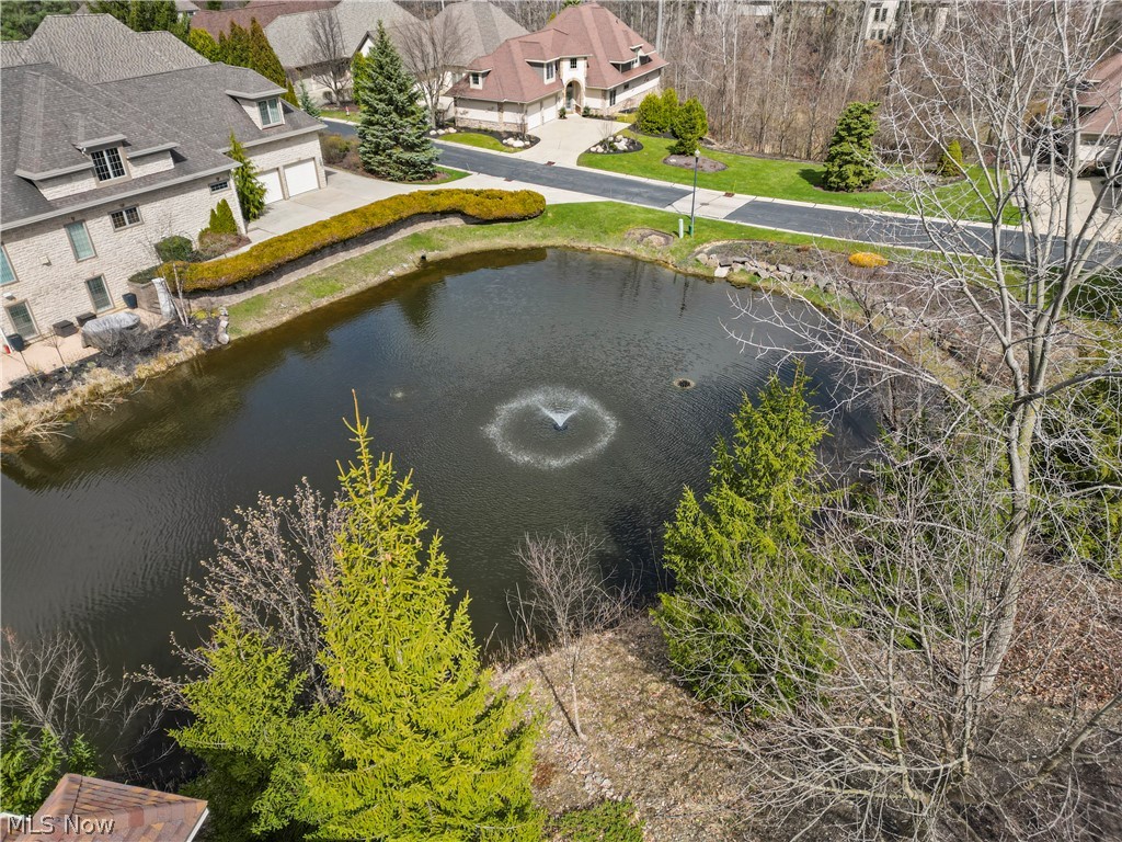 11190 Caddie Lane