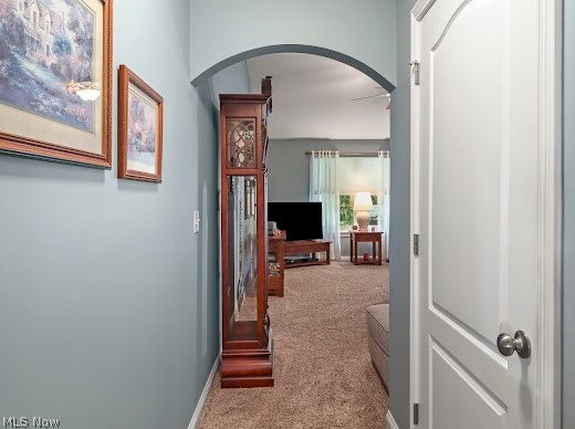 1096 Zephyr Lane
