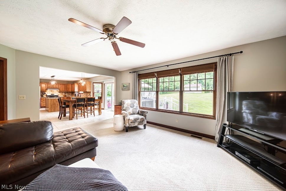 11590 Girdled Road