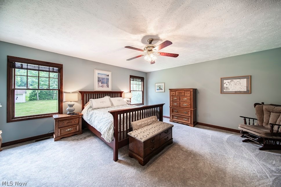 11590 Girdled Road