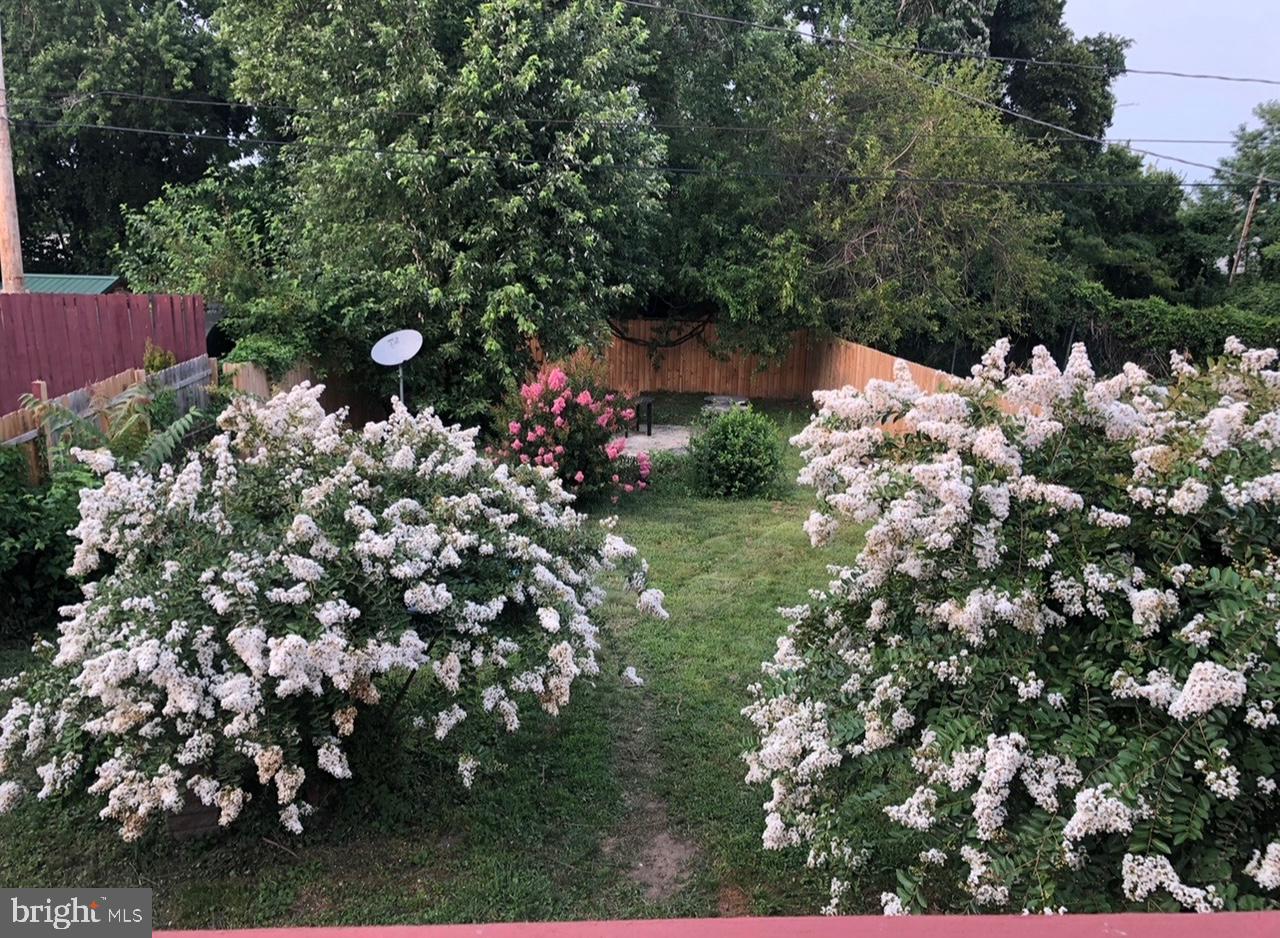 1917 BREITWERT AVENUE