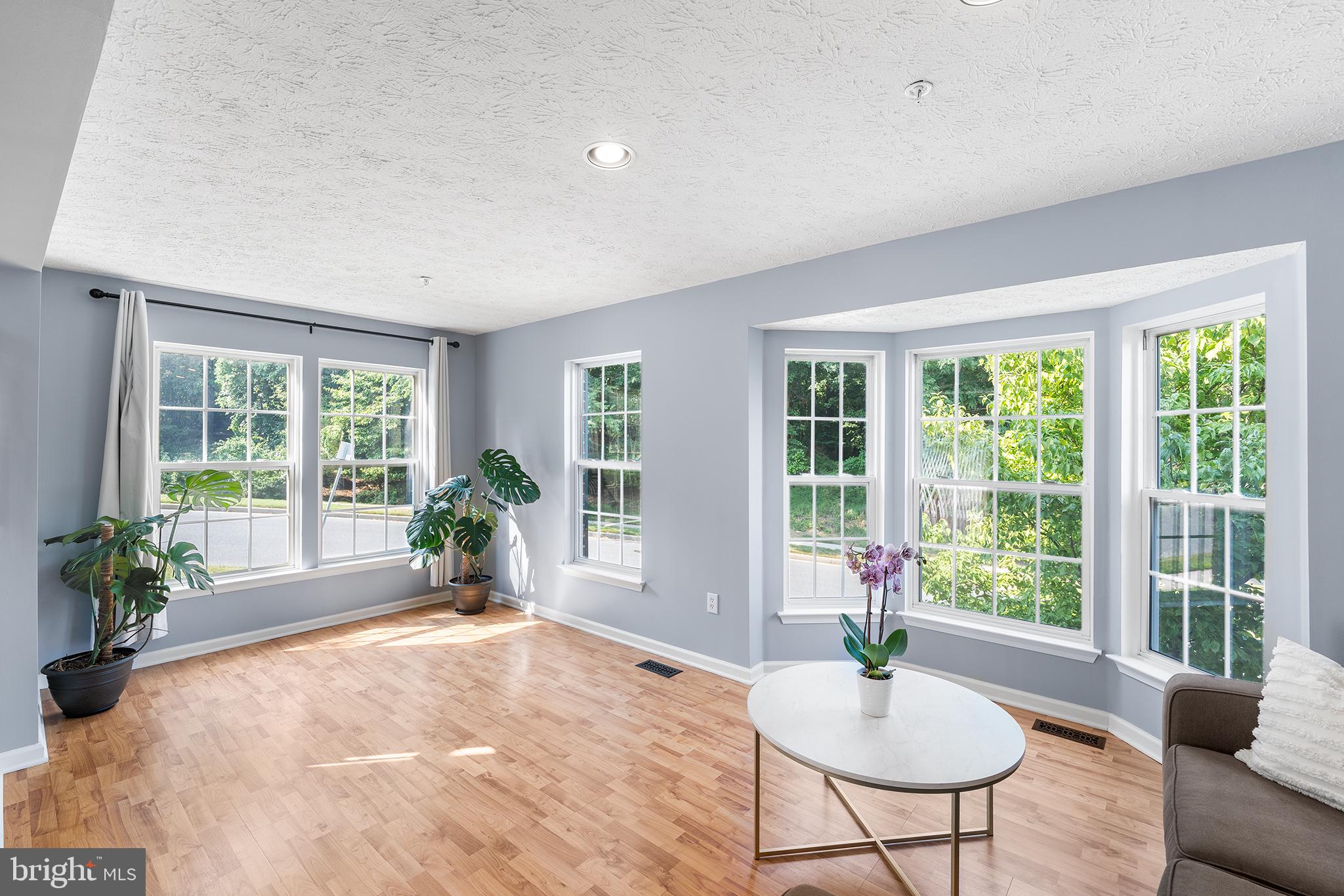 5101 SPRING WILLOW COURT