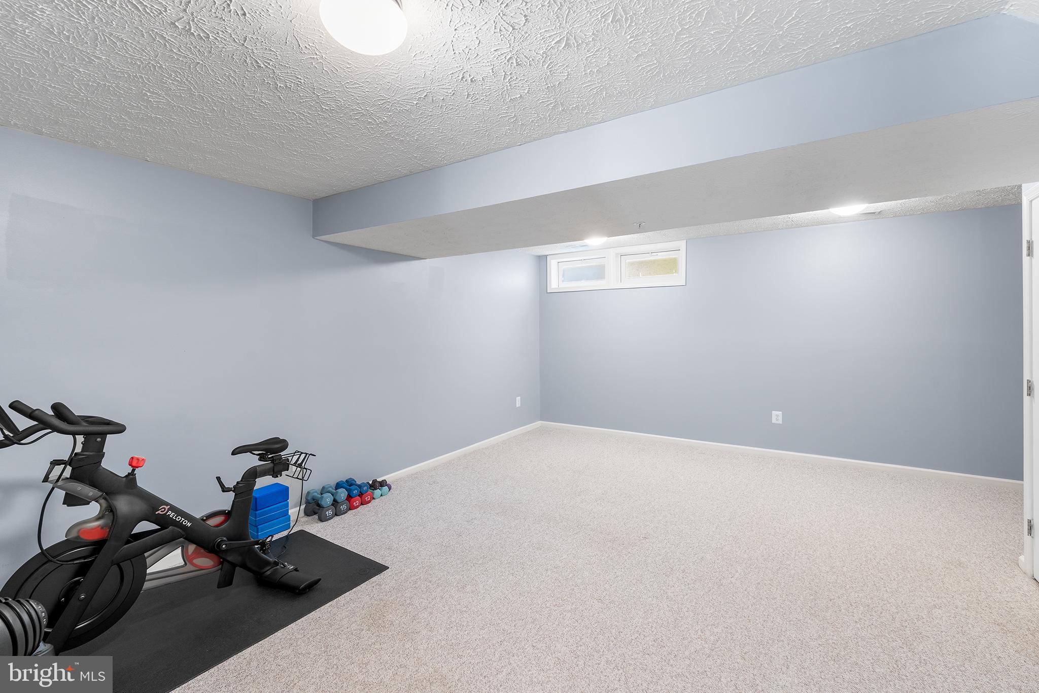 5101 SPRING WILLOW COURT