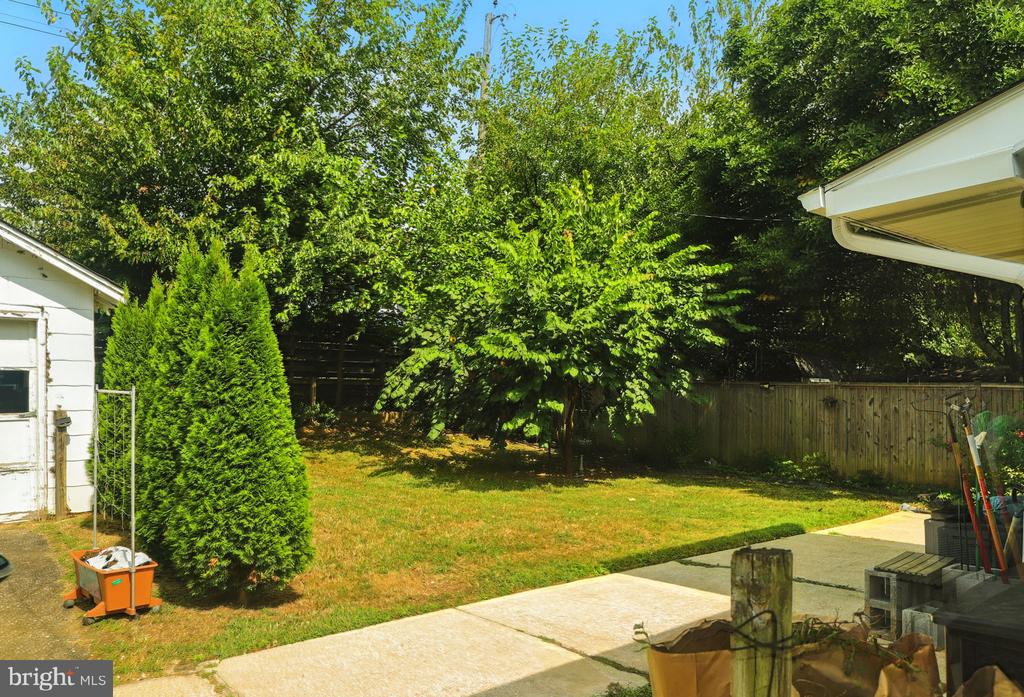 Backyard with a grassy lawn, mature trees, wooden fence, and concrete patio.