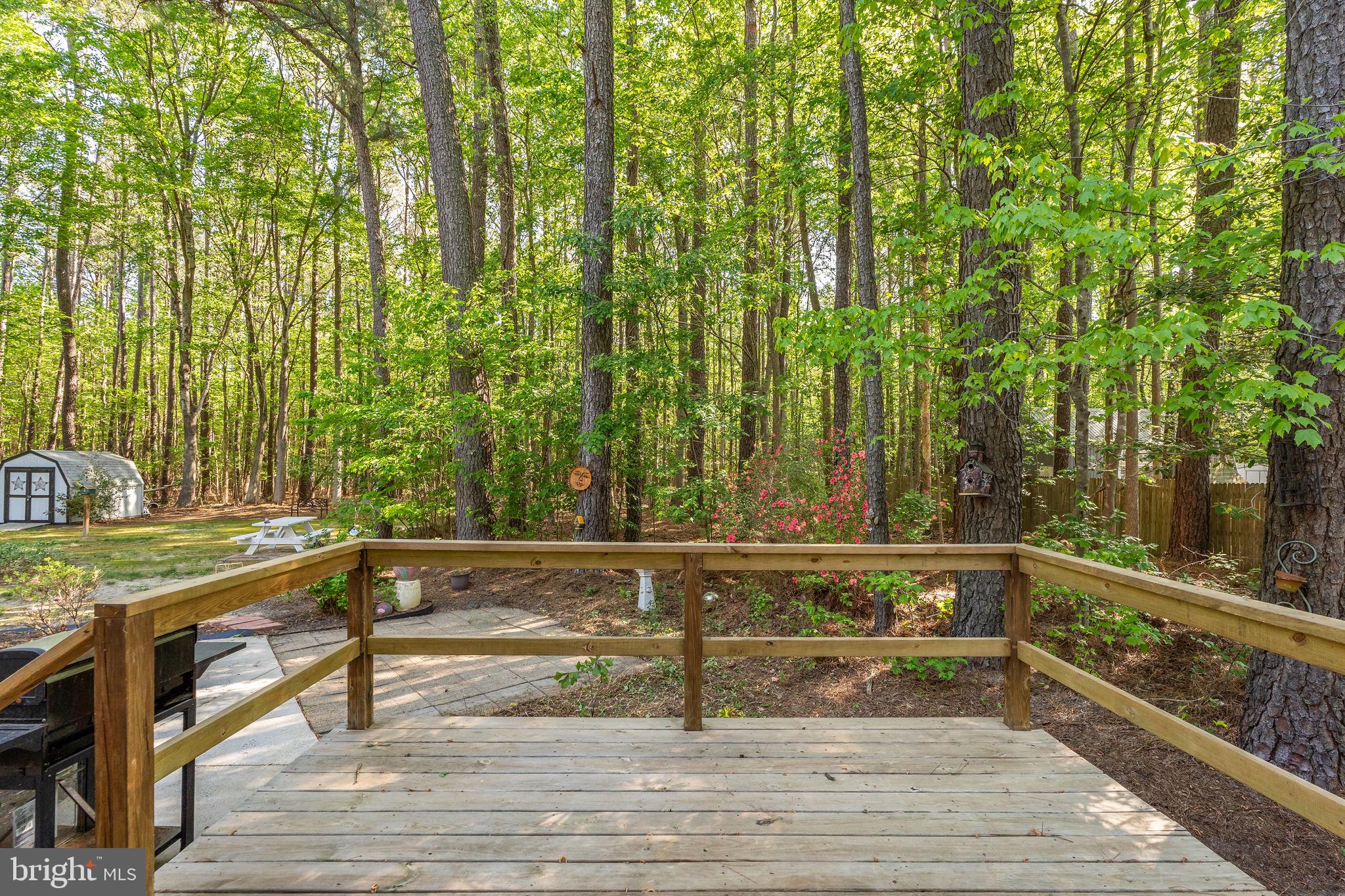 3985 TRACE HOLLOW RUN