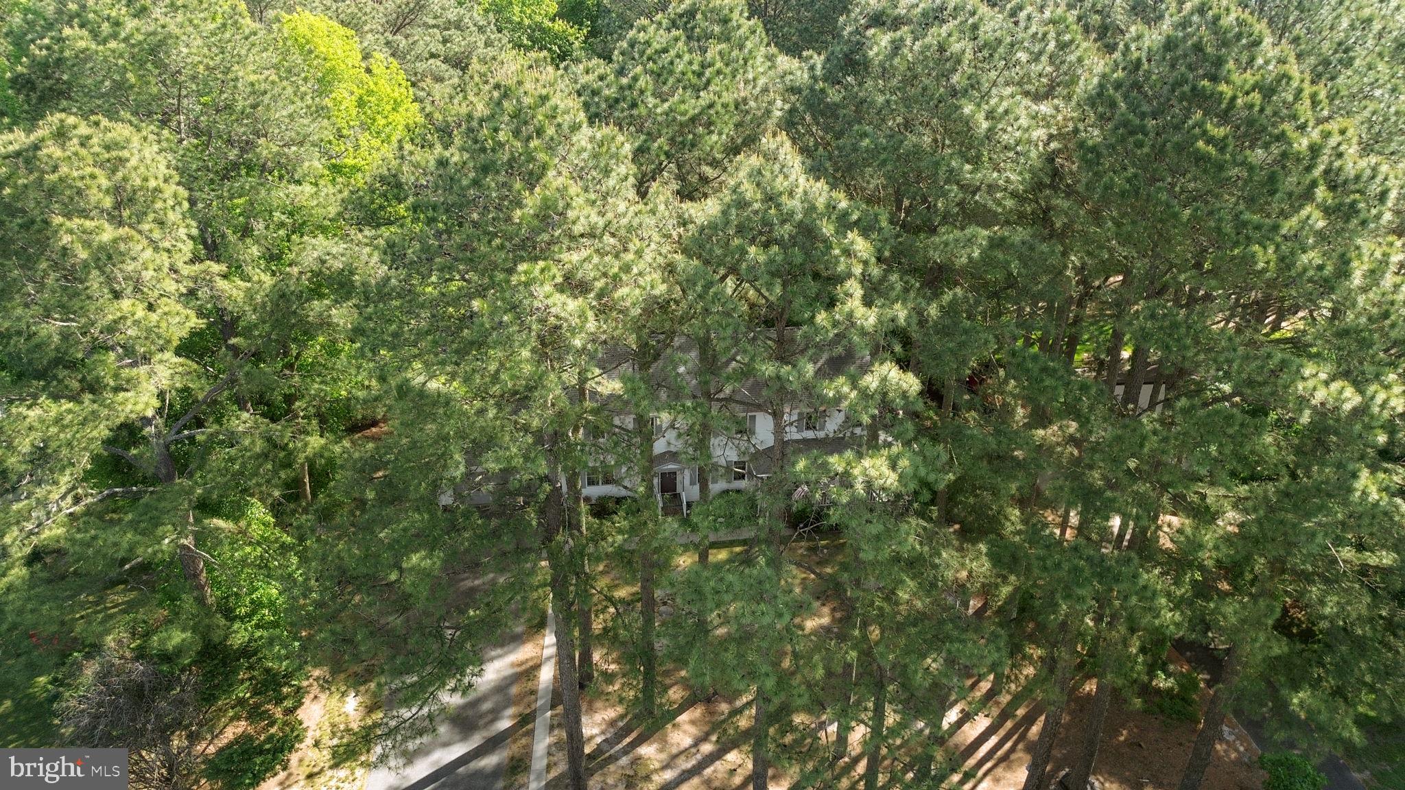 3985 TRACE HOLLOW RUN