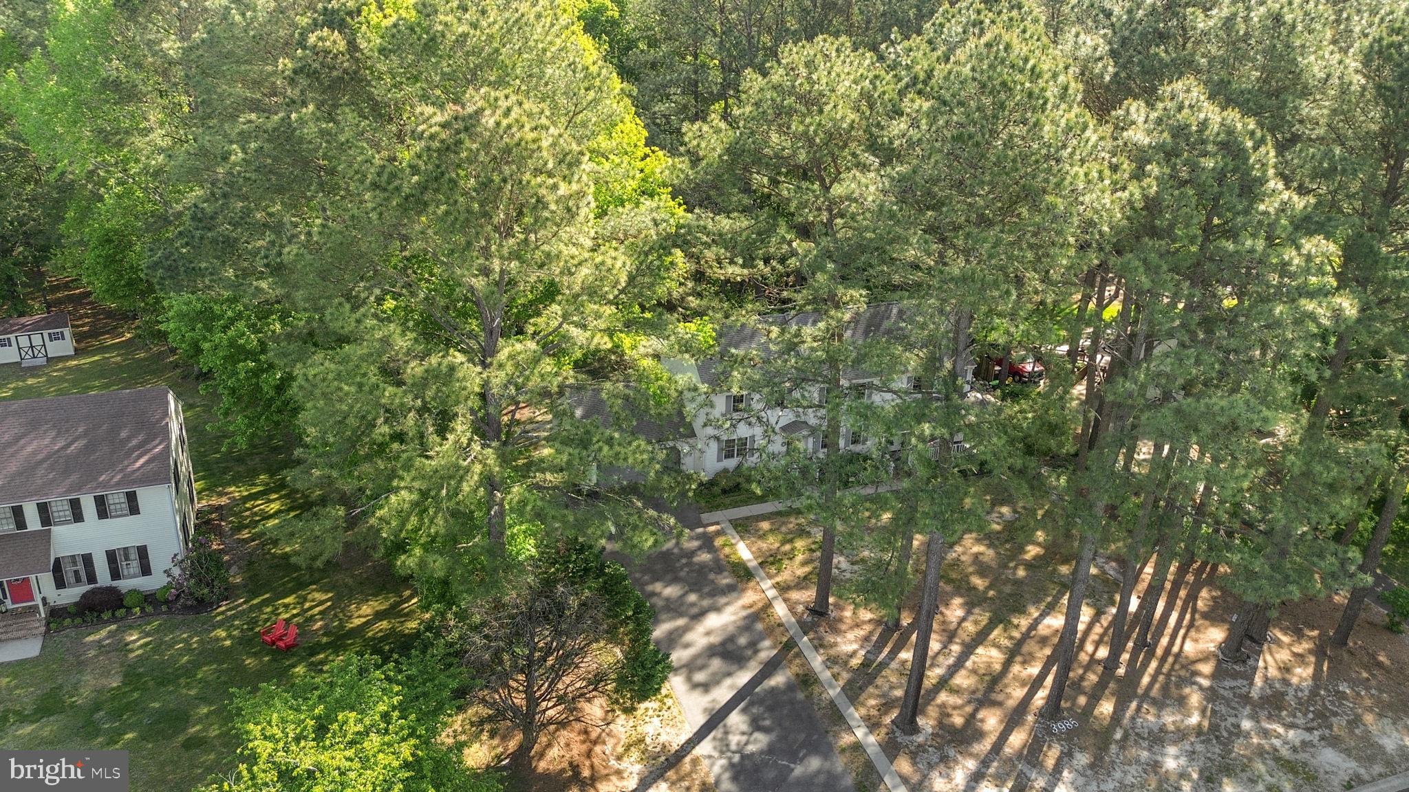 3985 TRACE HOLLOW RUN