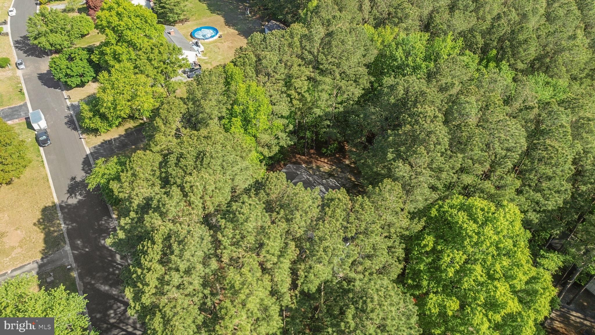 3985 TRACE HOLLOW RUN