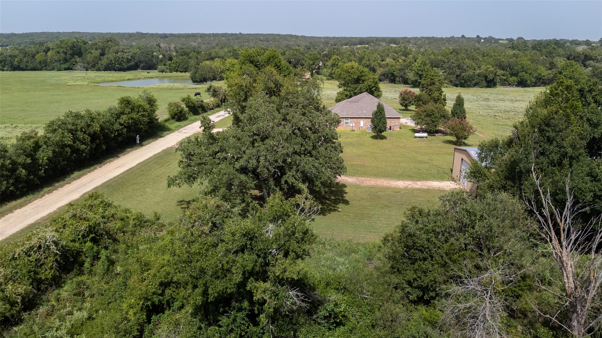 1504 County Road 459