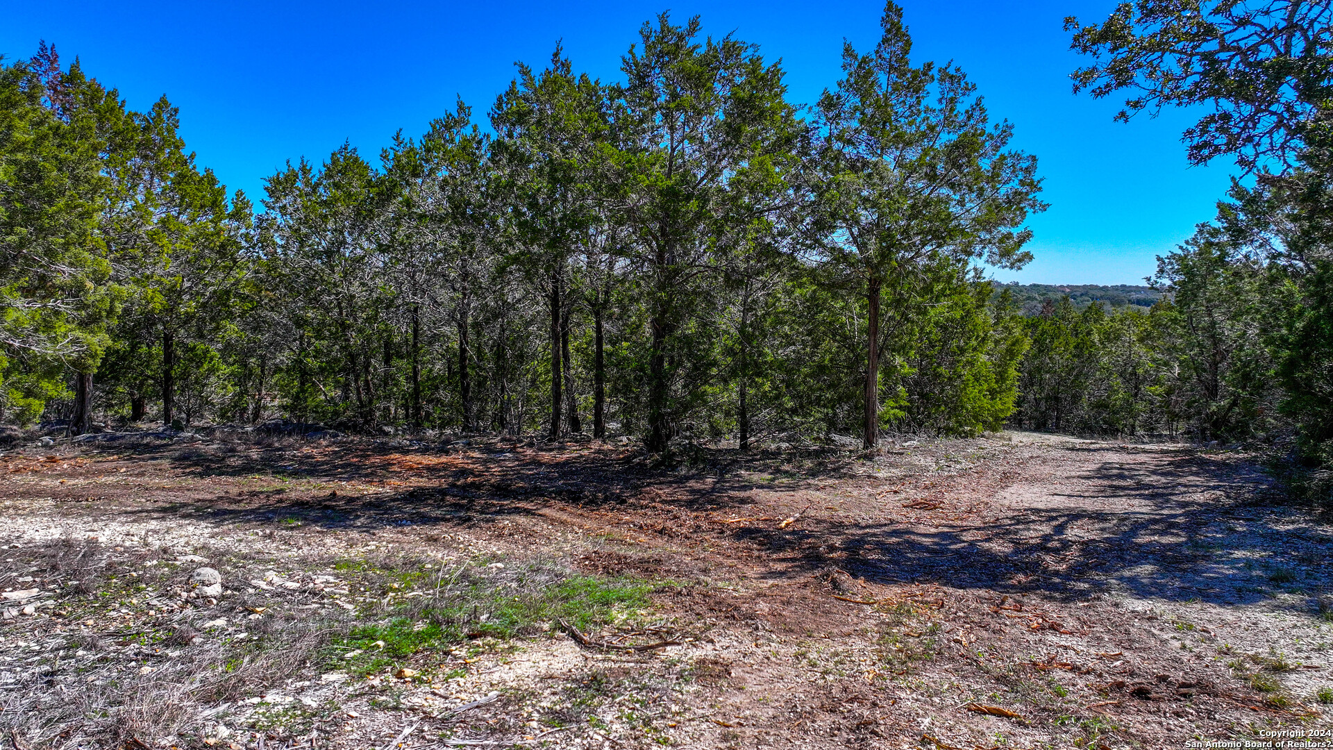 234 Bindweed Ln