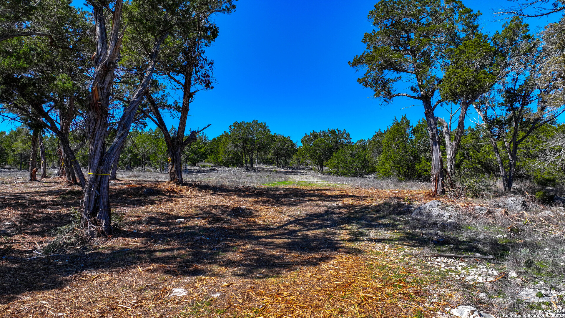 234 Bindweed Ln