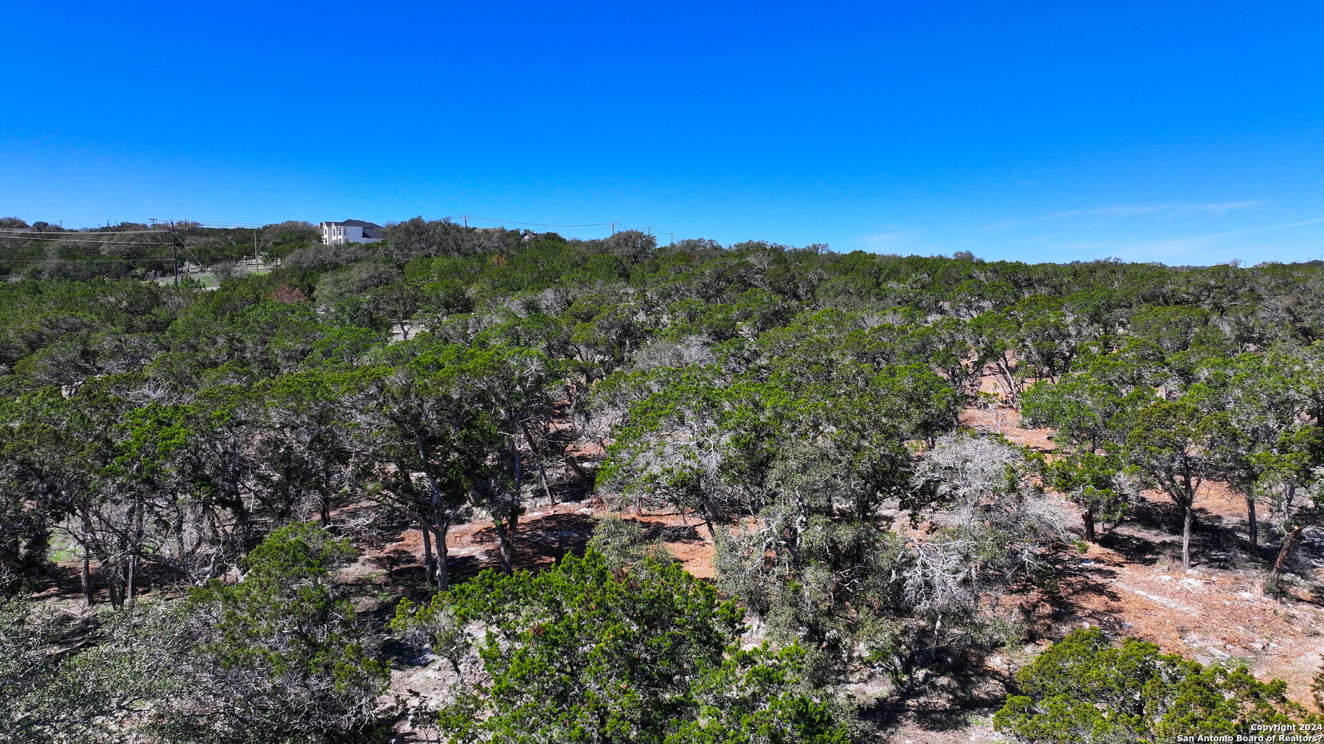 234 Bindweed Ln
