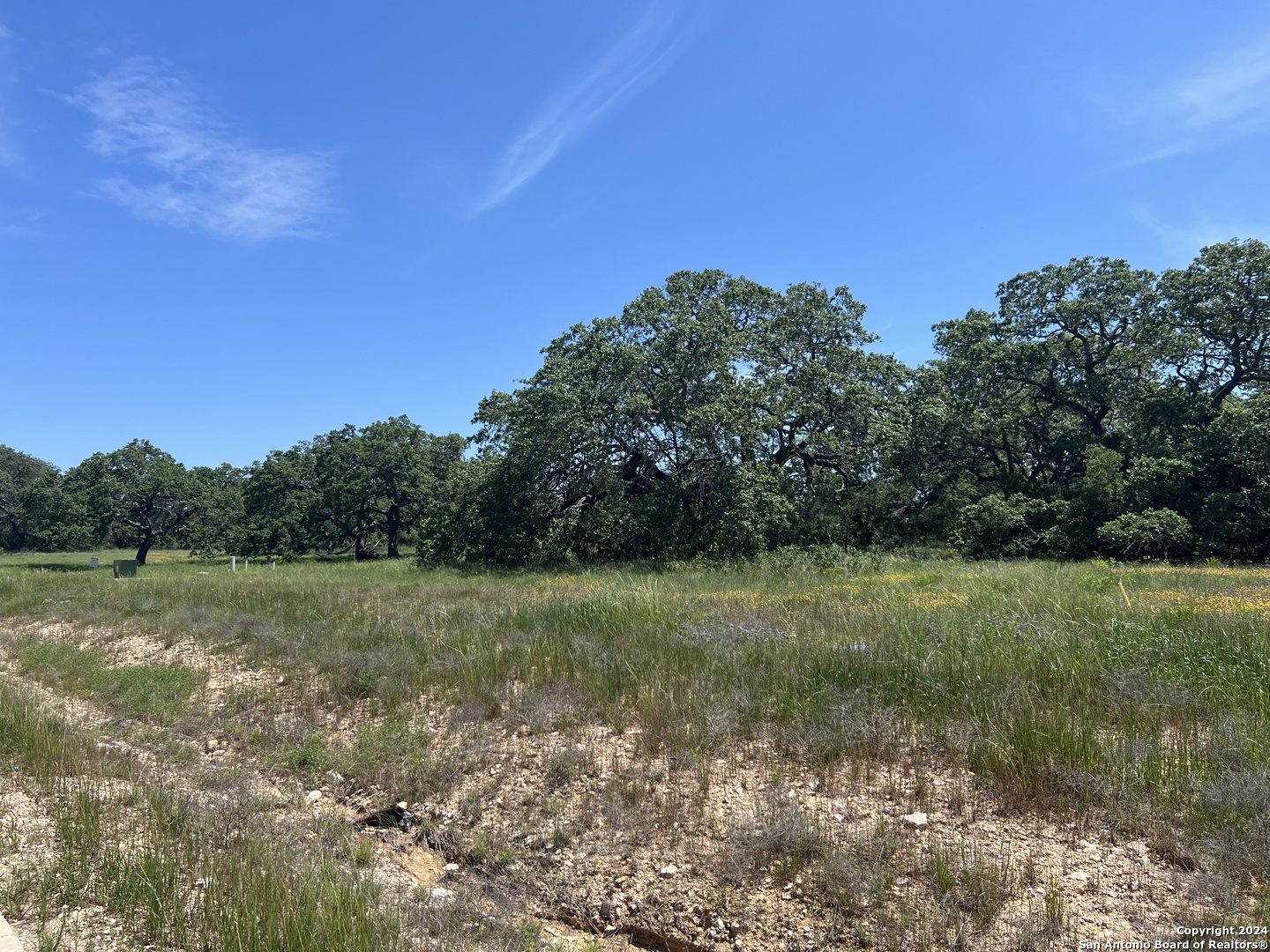 34718 SHELLY BRIDGE PT