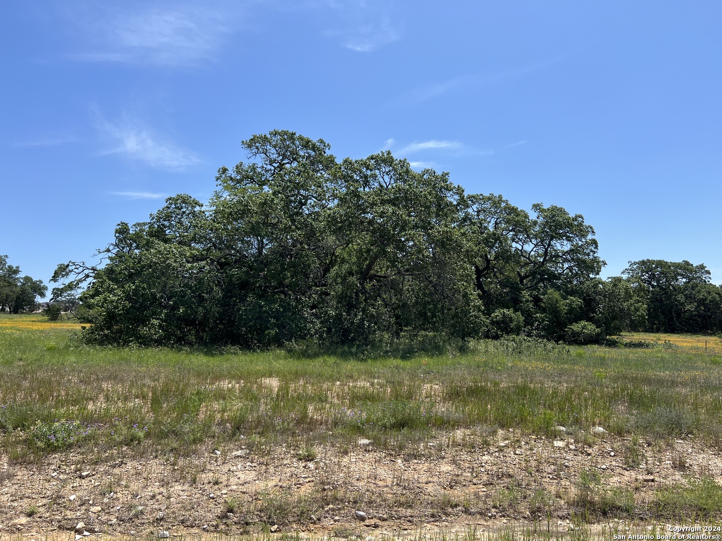 34718 SHELLY BRIDGE PT