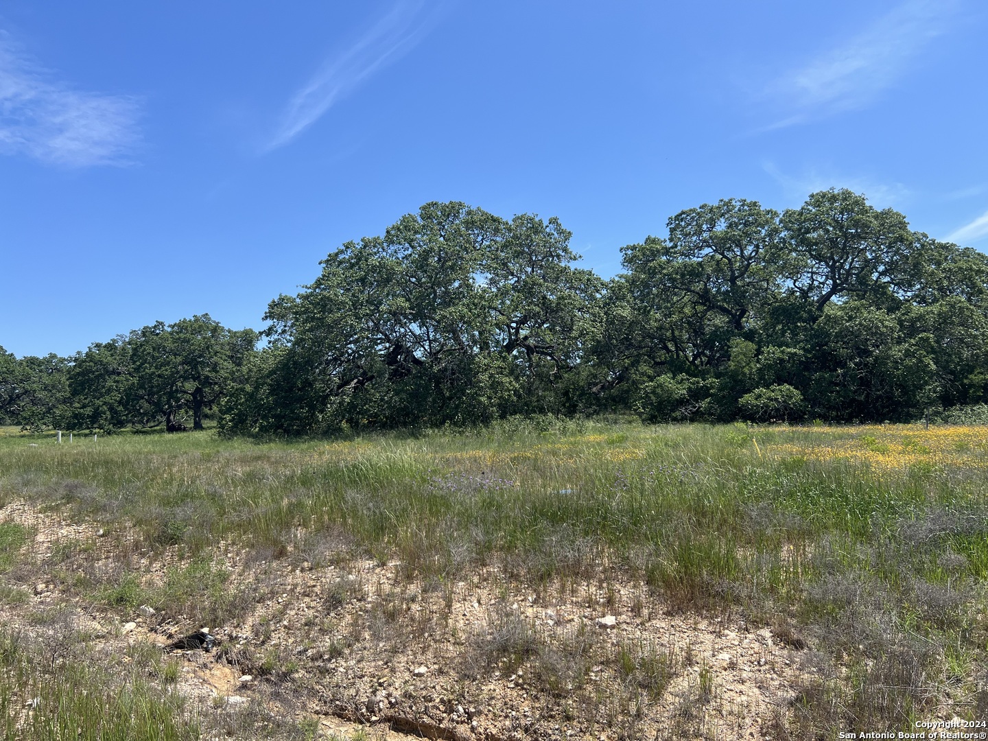 34718 SHELLY BRIDGE PT