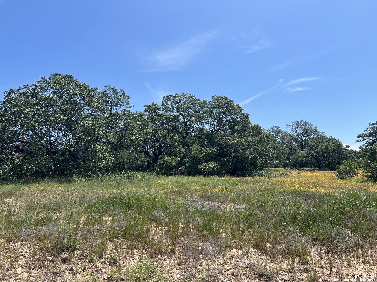 34718 SHELLY BRIDGE PT
