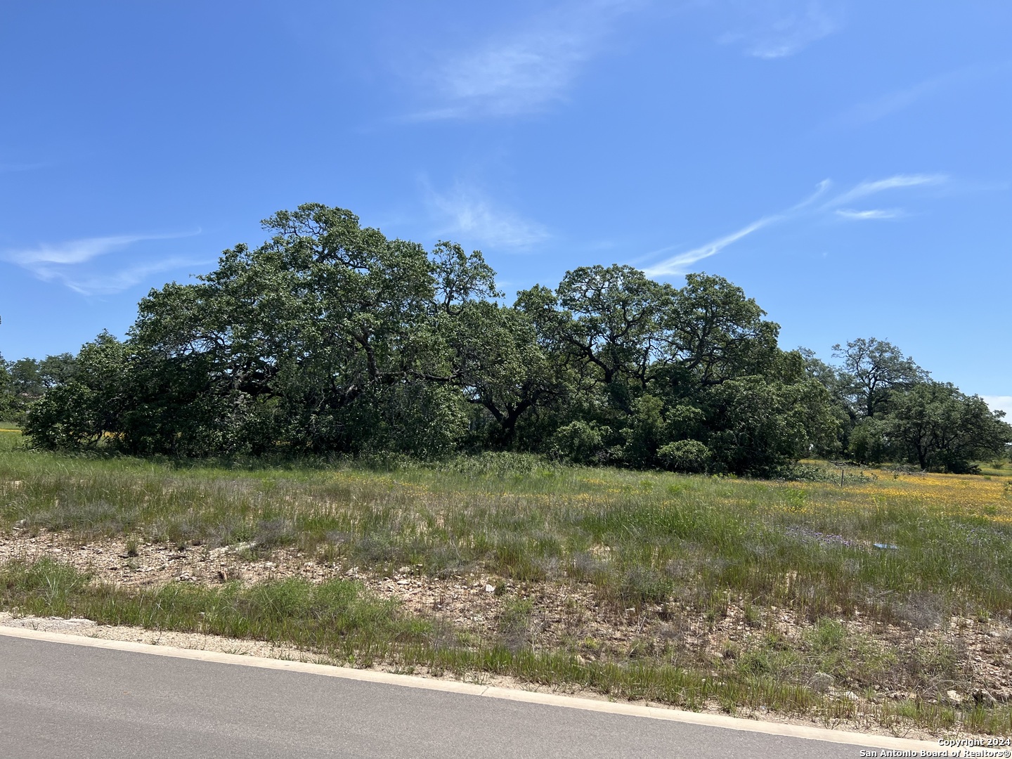 34718 SHELLY BRIDGE PT