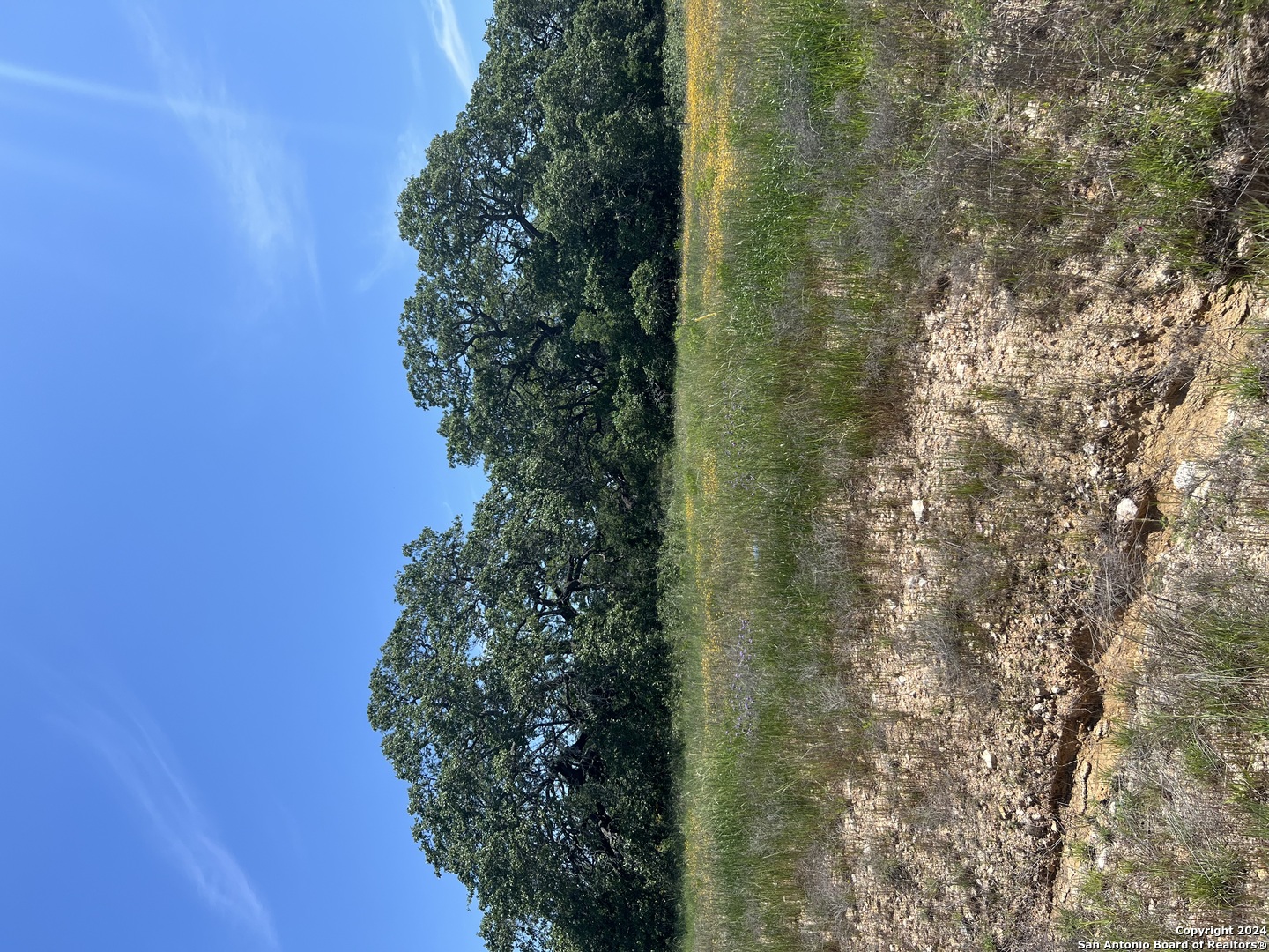 34718 SHELLY BRIDGE PT