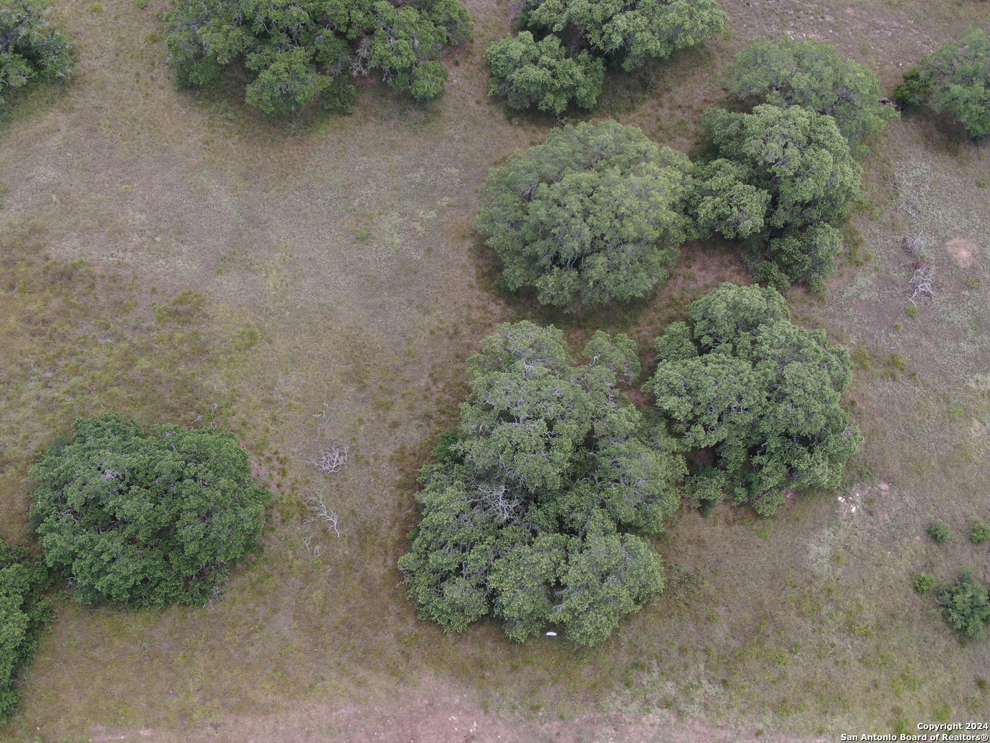 34718 SHELLY BRIDGE PT