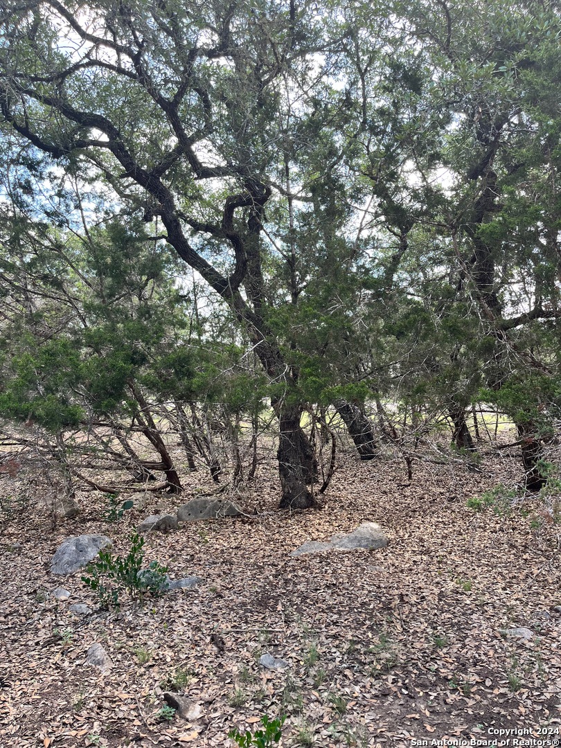 1656 Cypress Pass Road