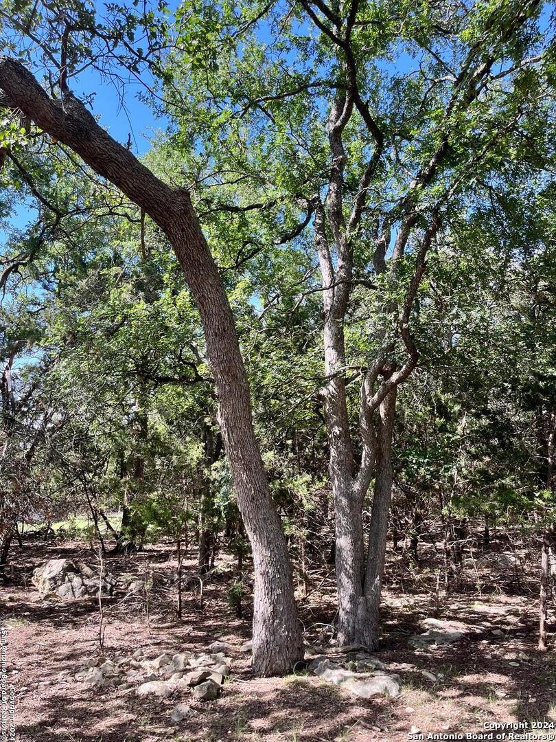 1656 Cypress Pass Road