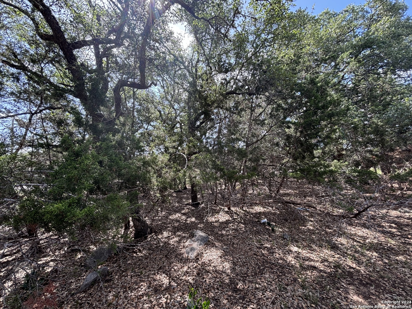 1656 Cypress Pass Road