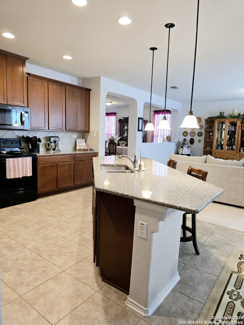 20403 ROCHE OAK