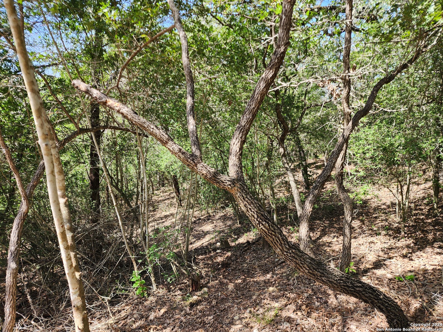 LOT 310 Kalihi Court
