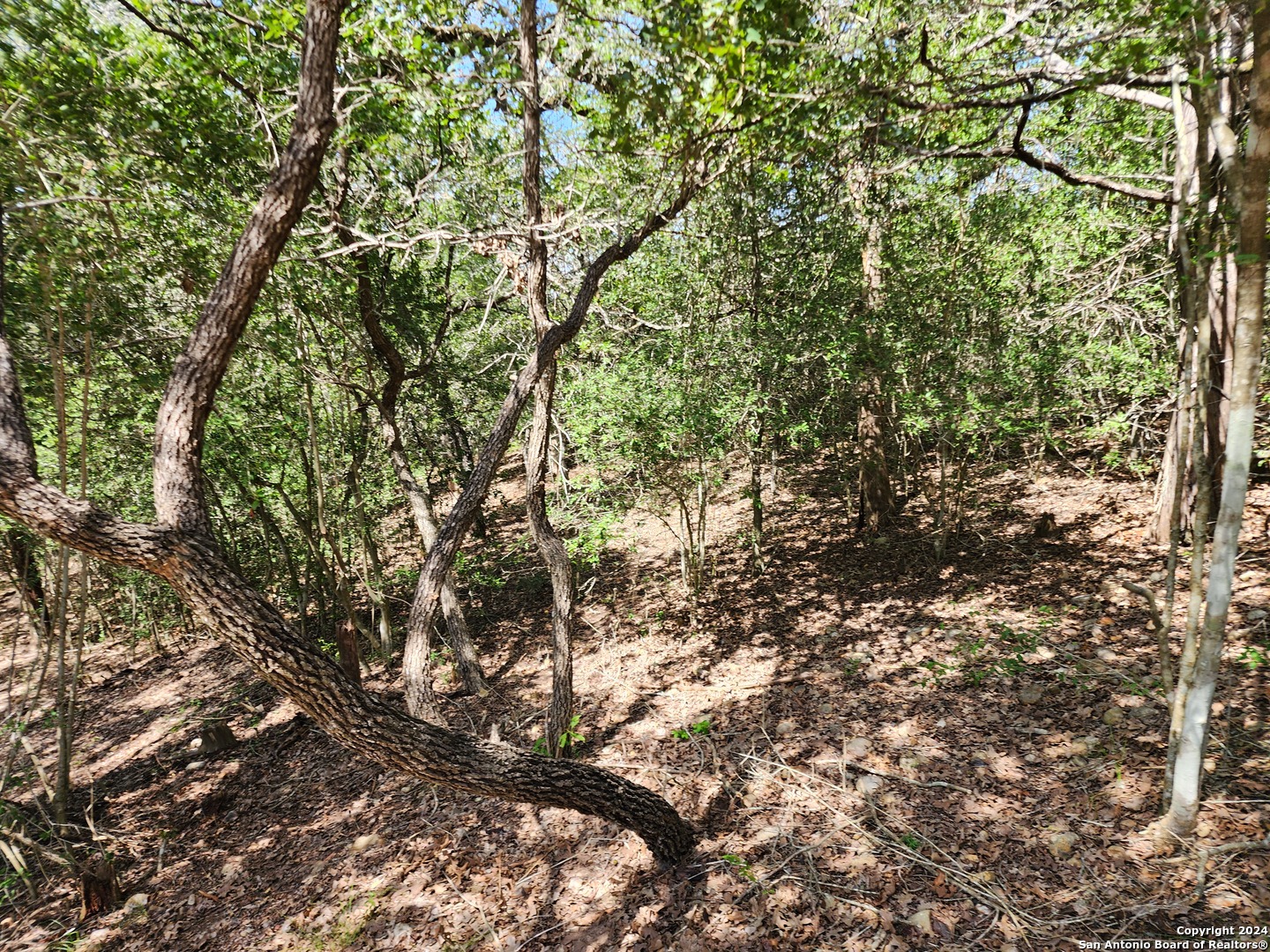 LOT 310 Kalihi Court