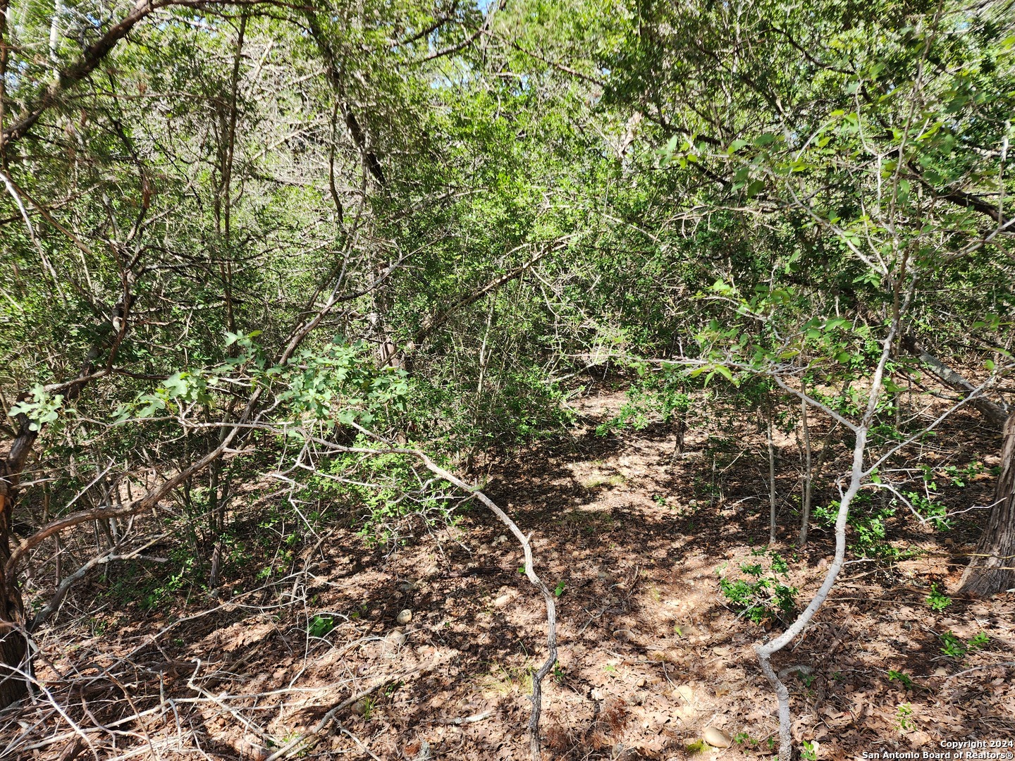 LOT 310 Kalihi Court