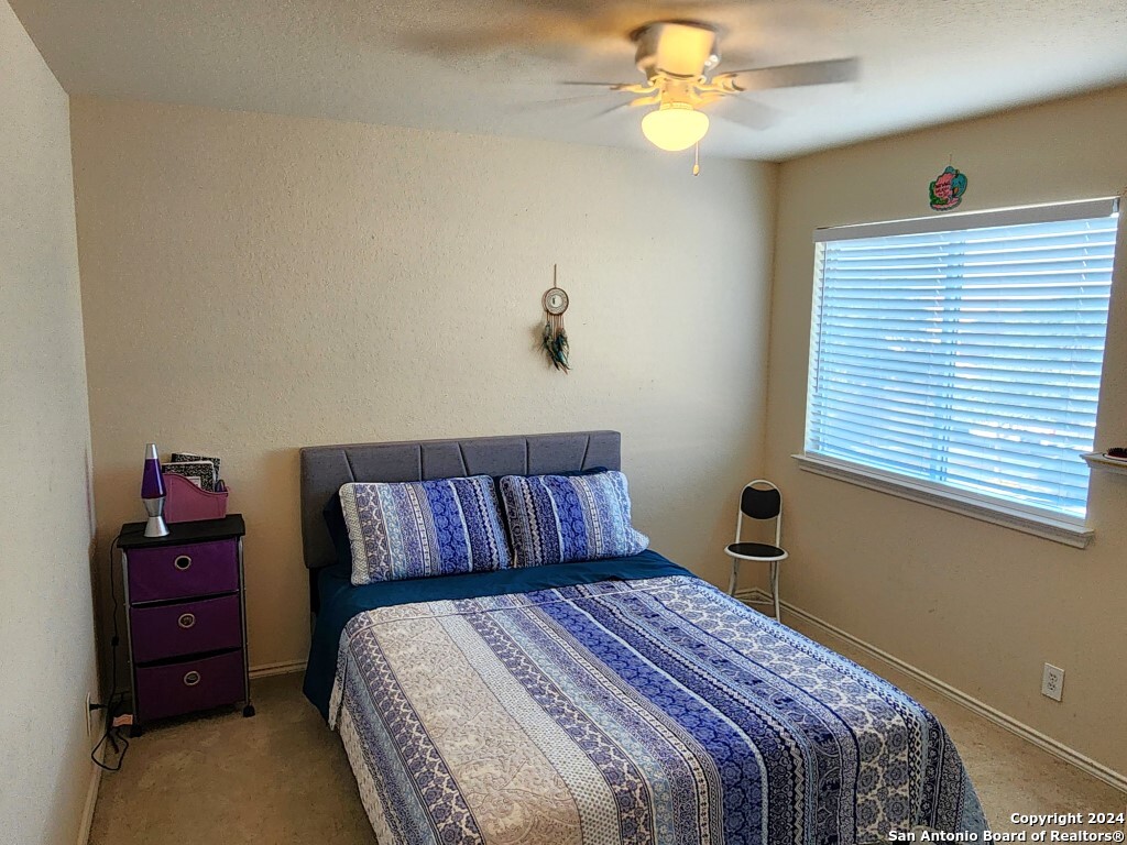 300 APACHE LEDGE