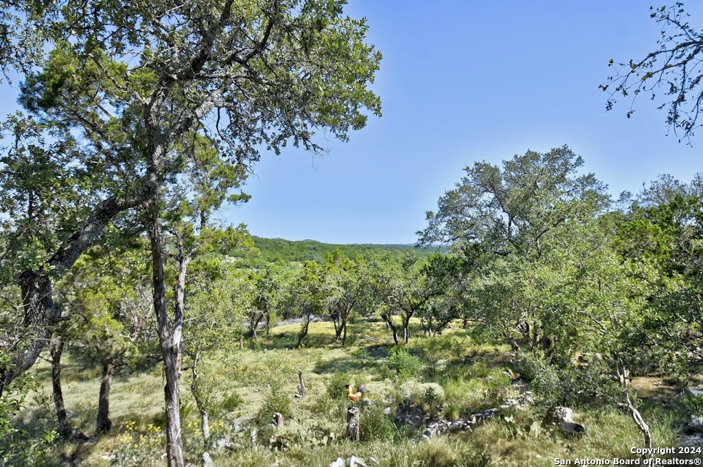 28764 SIERRA DR