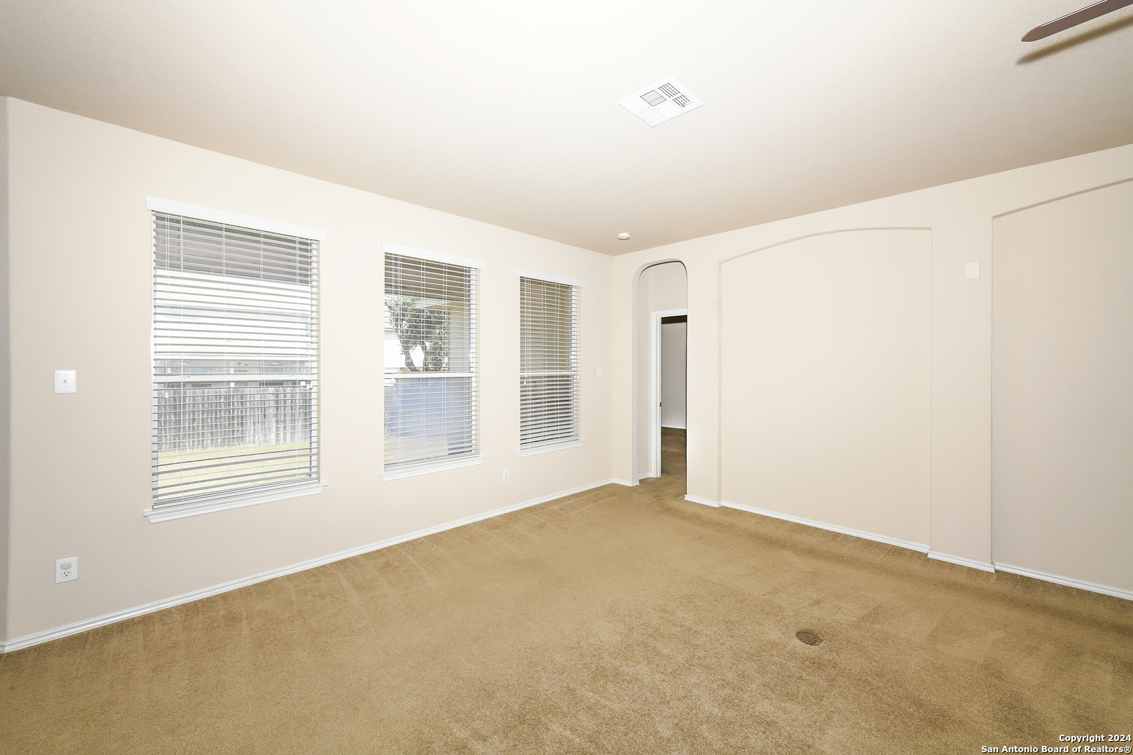11615 Huisache Daisy