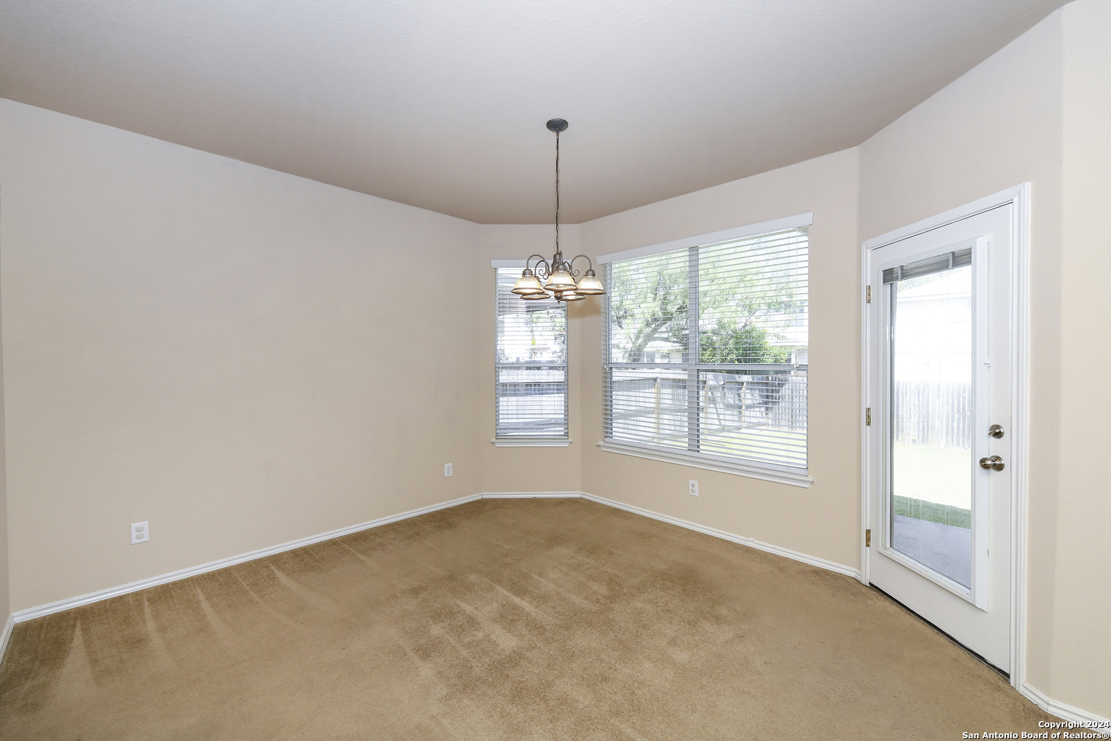11615 Huisache Daisy