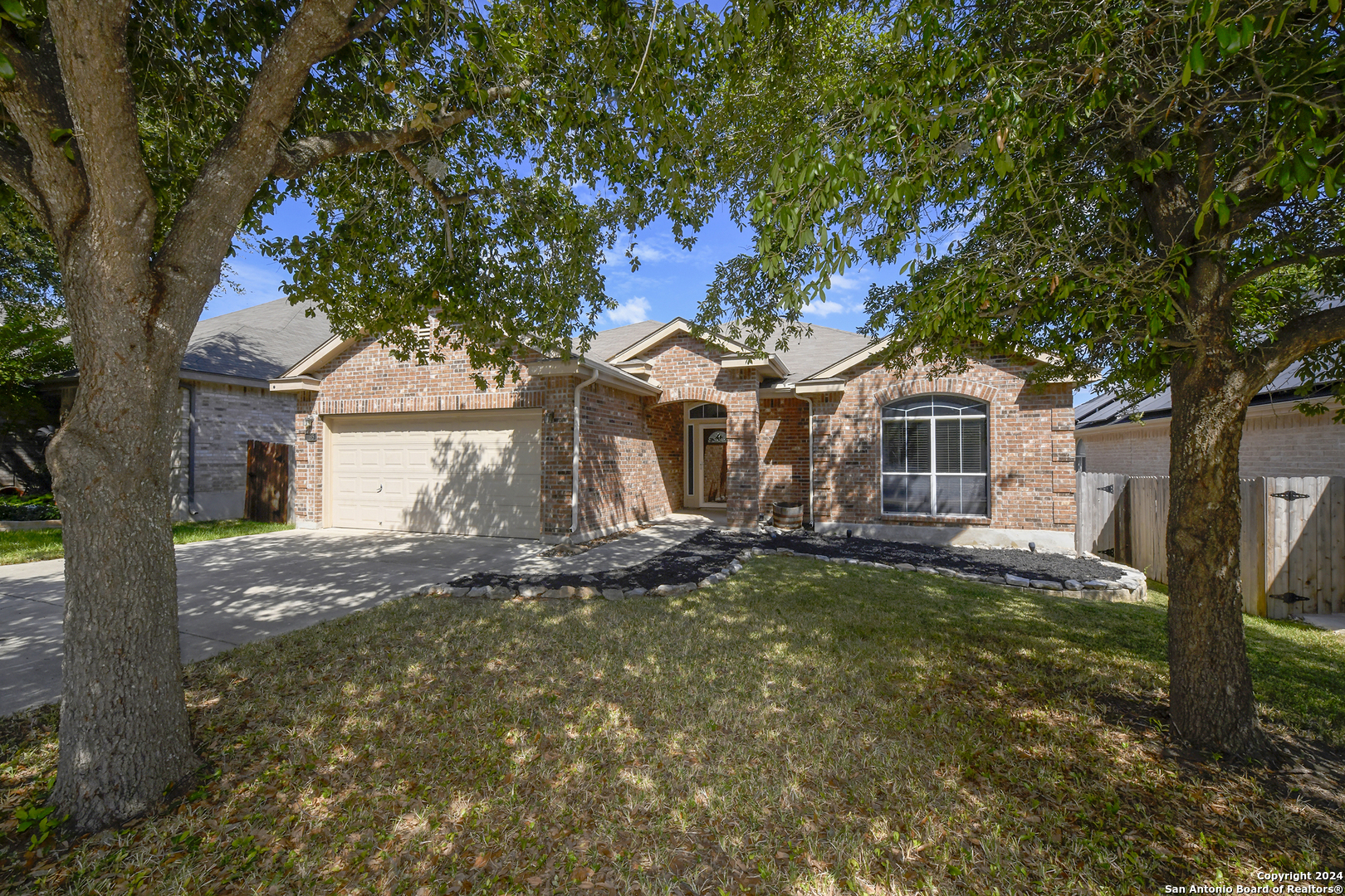 11615 Huisache Daisy