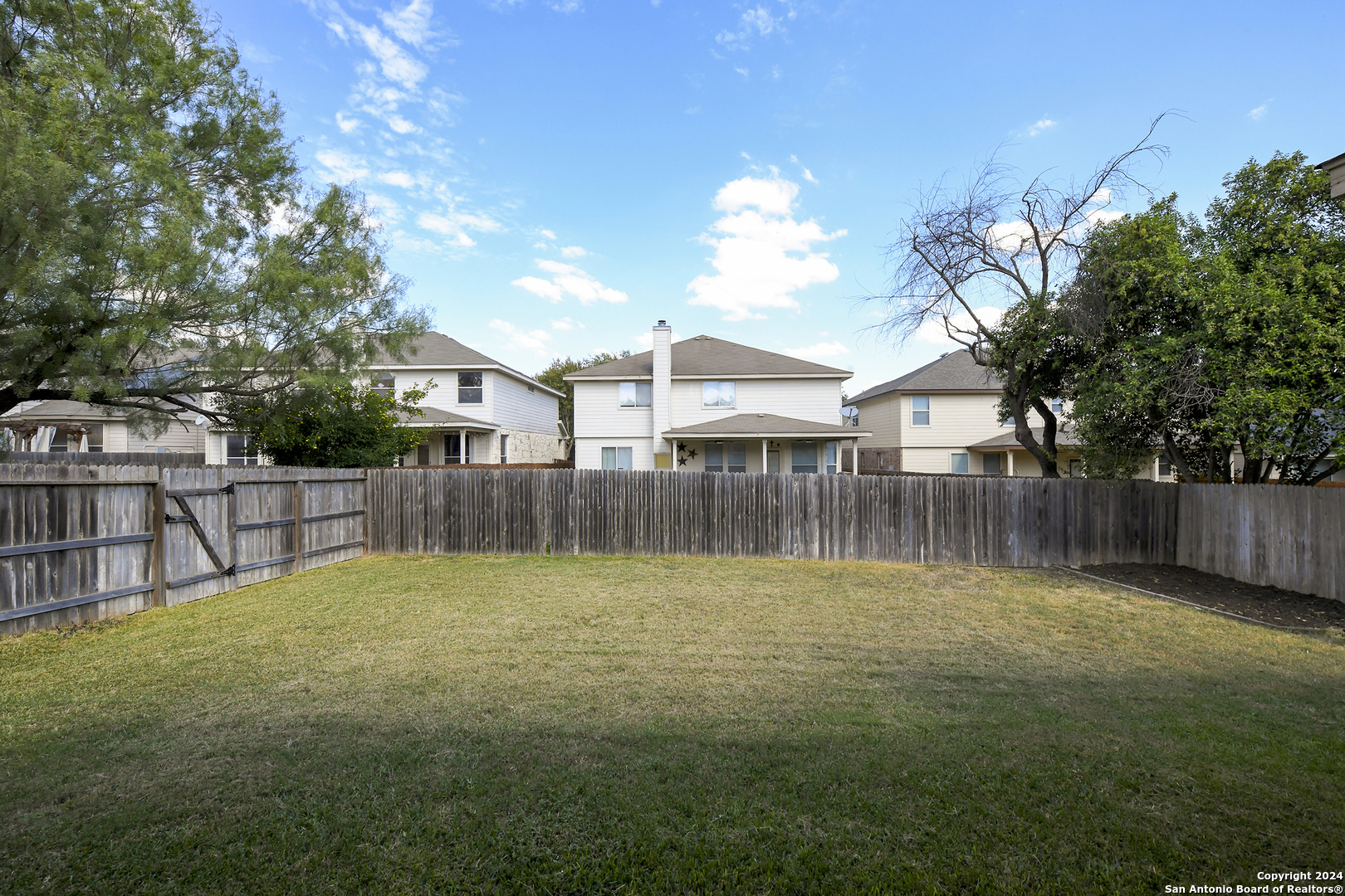 11615 Huisache Daisy