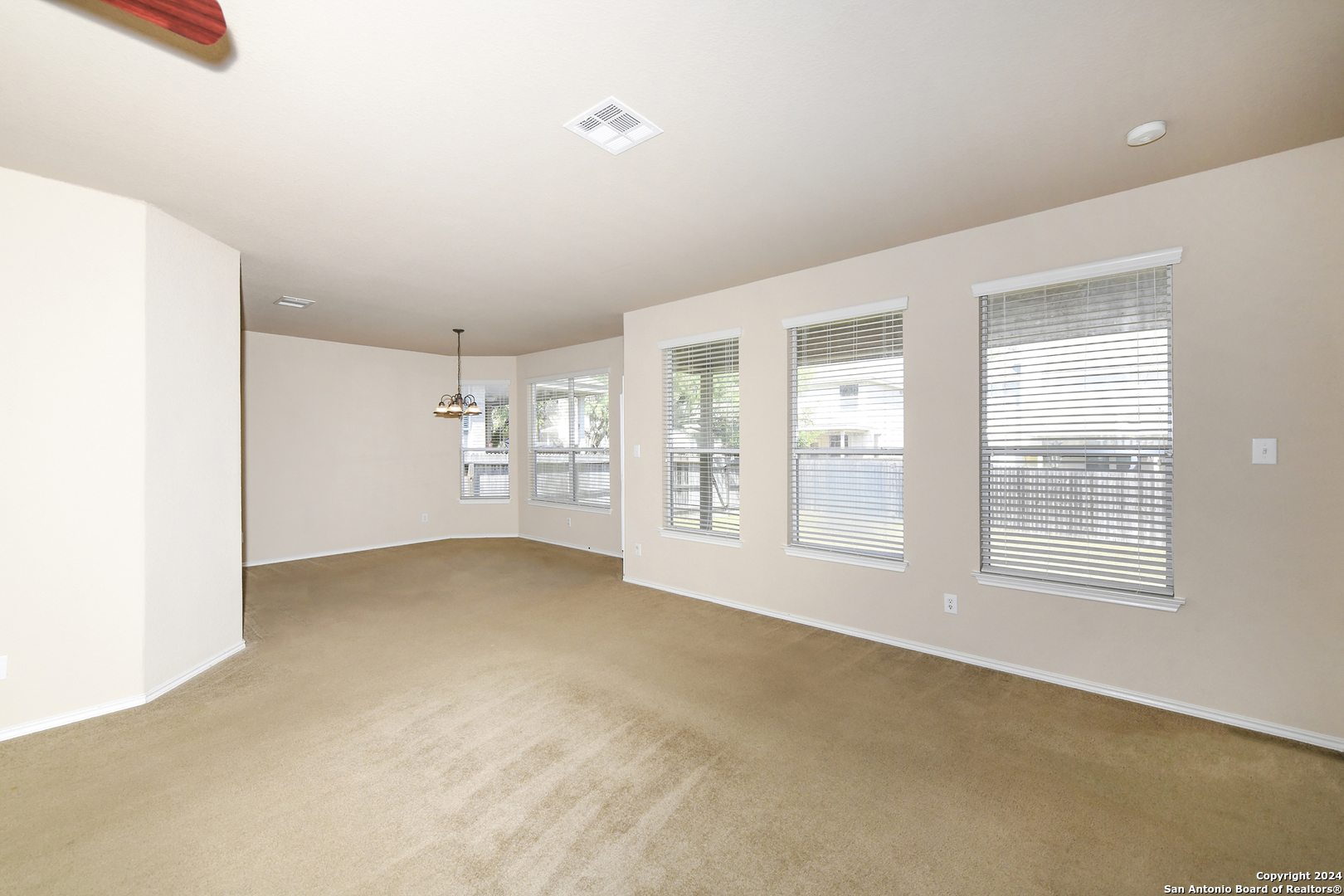 11615 Huisache Daisy