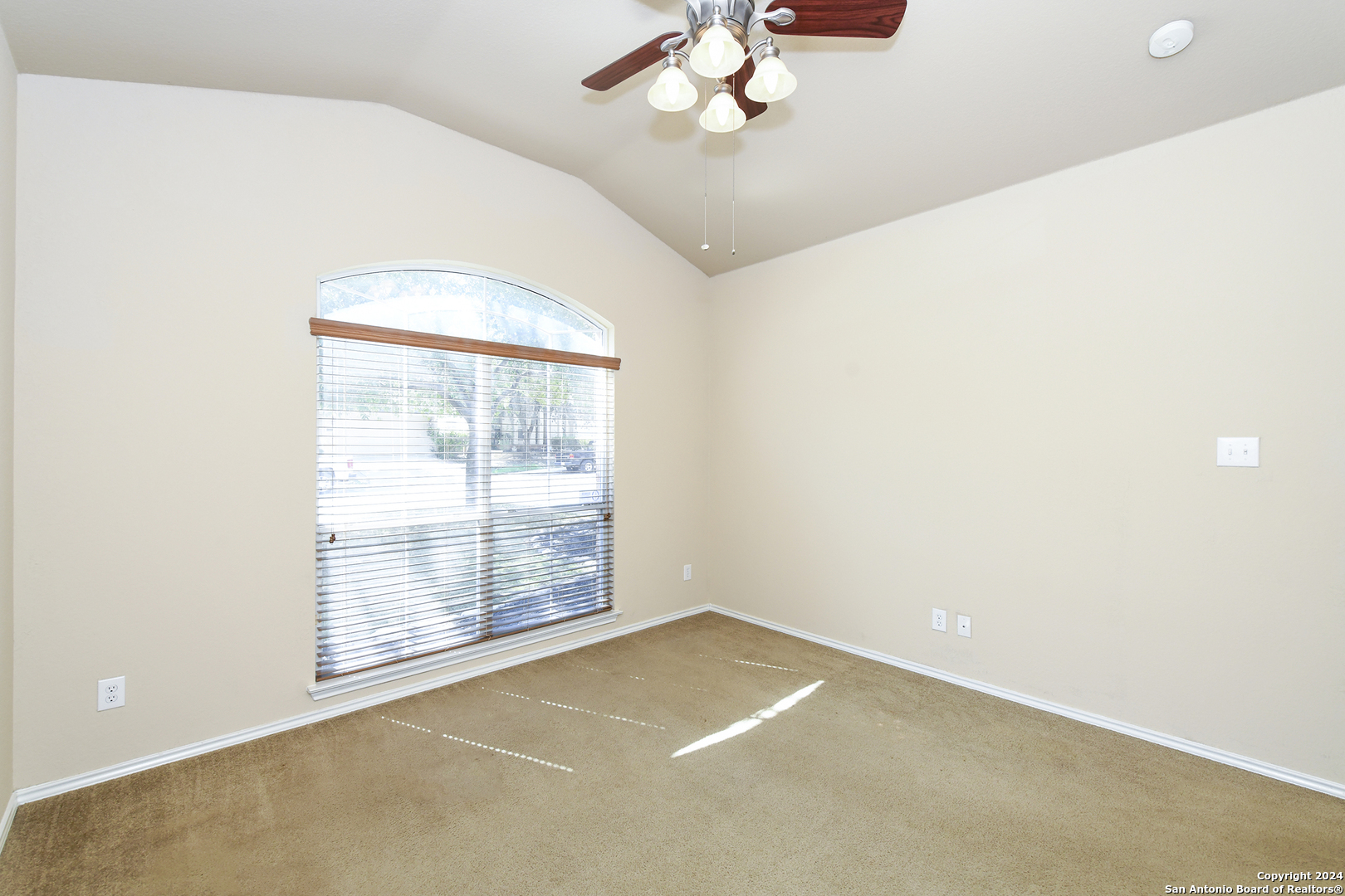 11615 Huisache Daisy
