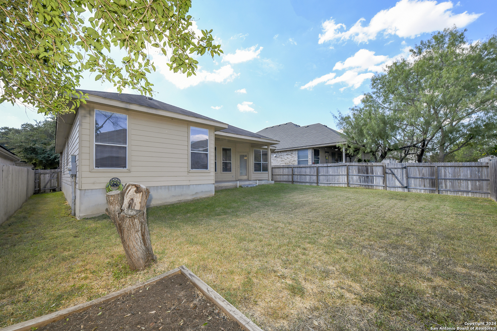 11615 Huisache Daisy