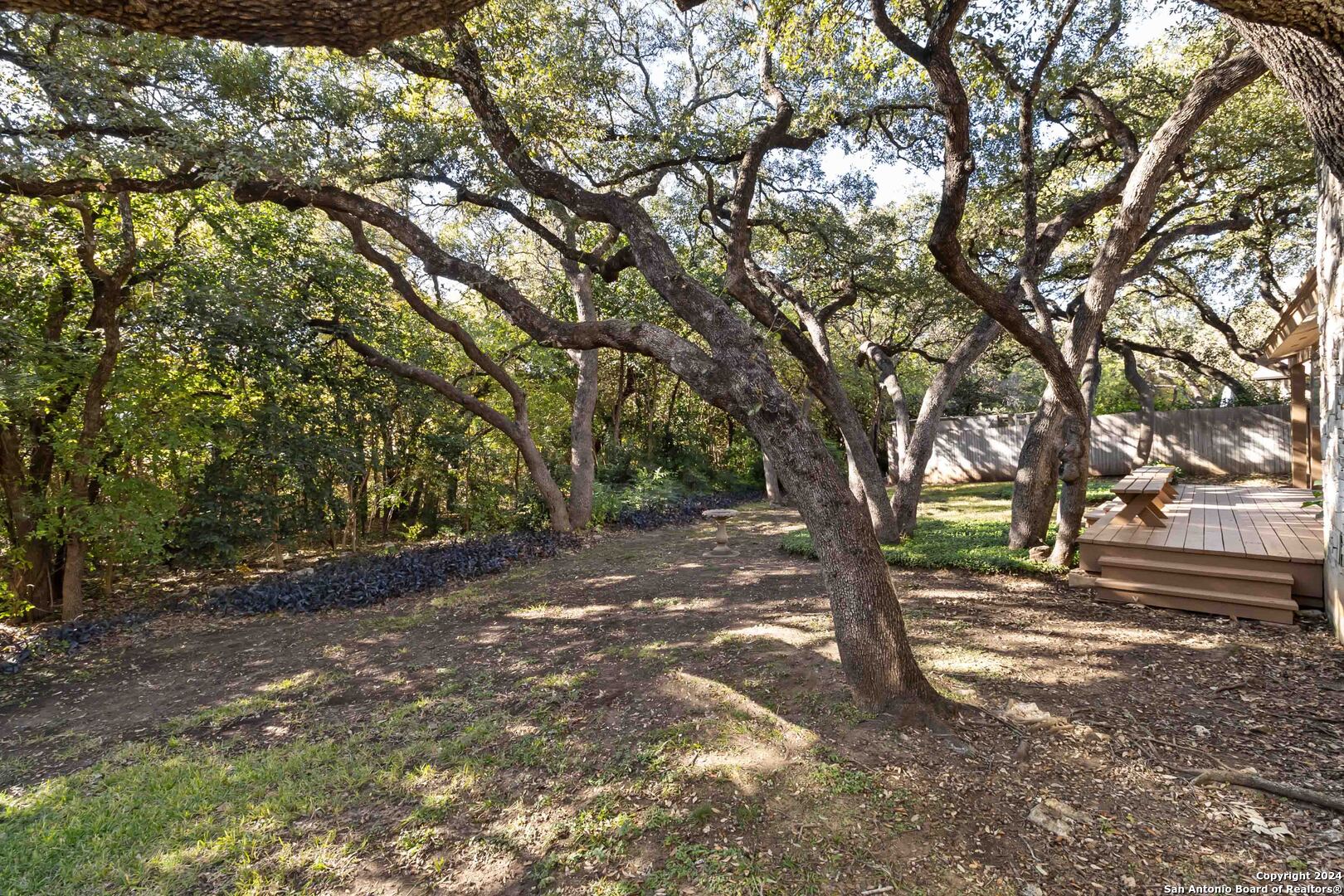 14023 Rocky Pine Woods St