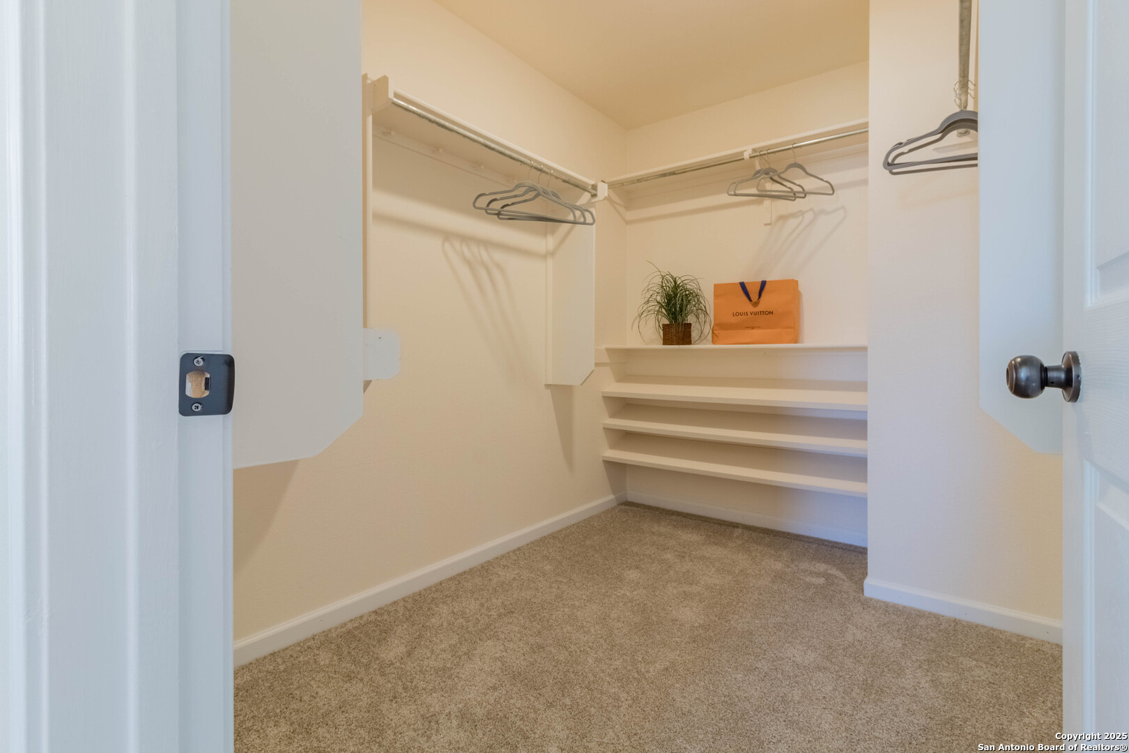 8206 ROSESPUR PARK