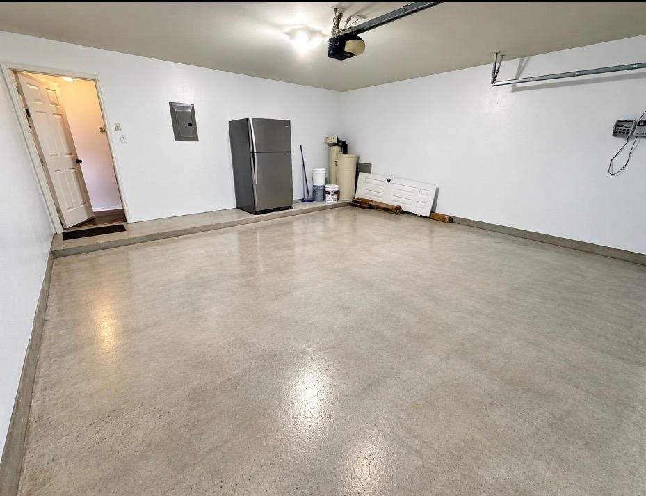 371 Housefinch LOOP