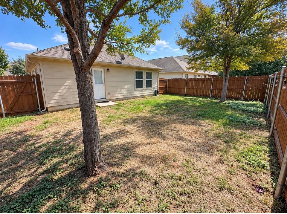 371 Housefinch LOOP