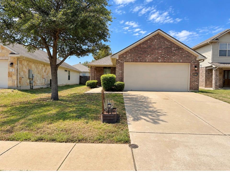 371 Housefinch LOOP