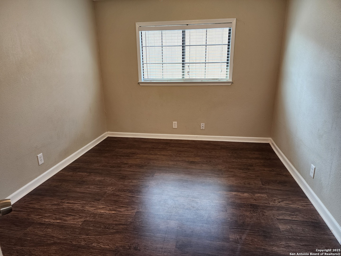 6811 Cypress mist